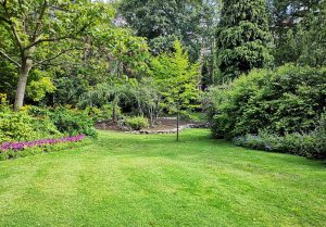 Optimiser l'expérience du jardin à Binson-et-Orquigny